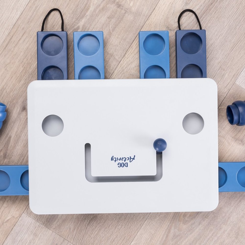 Dog Activity Move2Win Game, Level 3, Dog Puzzle, Treat Dispenser